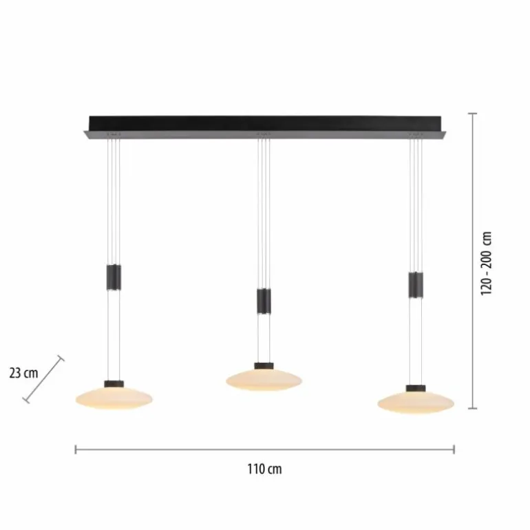 Suspension Paul Neuhaus LAUTADA LED Noir, 3 lumières