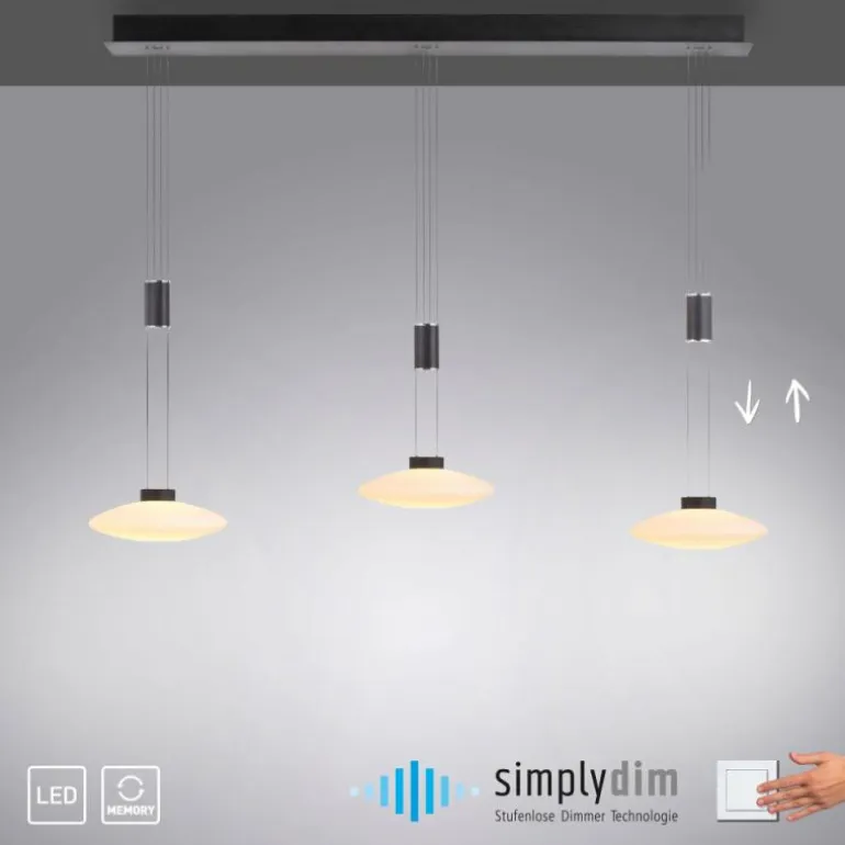 Suspension Paul Neuhaus LAUTADA LED Noir, 3 lumières
