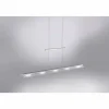 Suspension Paul Neuhaus NELE LED Acier inoxydable, 5 lumières