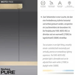 Suspension Paul Neuhaus PURE-MOTO-RISE LED Or, 3 lumières, Télécommandes