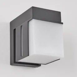 Swanek Lampe murale d´extérieur, Applique murale LED Anthracite, 1 lumière