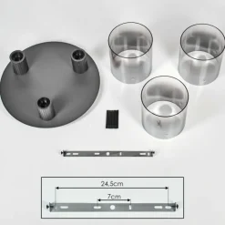 Vireda Plafonnier Anthracite, 3 lumières